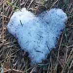 Dhotes La Pimprenelle Repos Et Nature Le Syndicat