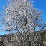 Bed & Breakfast Dhotes La Pimprenelle Repos Et Nature Le Syndicat