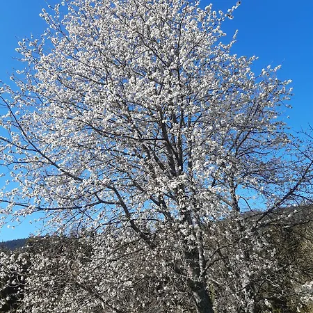 Bed & Breakfast Dhotes La Pimprenelle Repos Et Nature Le Syndicat