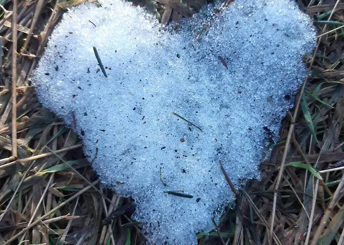 Dhotes La Pimprenelle Repos Et Nature Le Syndicat