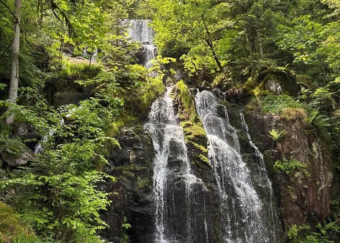 Bed & Breakfast Dhotes La Pimprenelle Repos Et Nature Le Syndicat