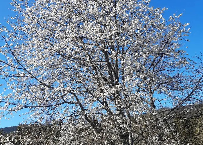 Bed & Breakfast Dhotes La Pimprenelle Repos Et Nature Le Syndicat